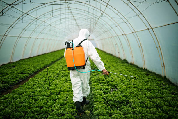Best Pest Control Cost  in Perry Heights, OH