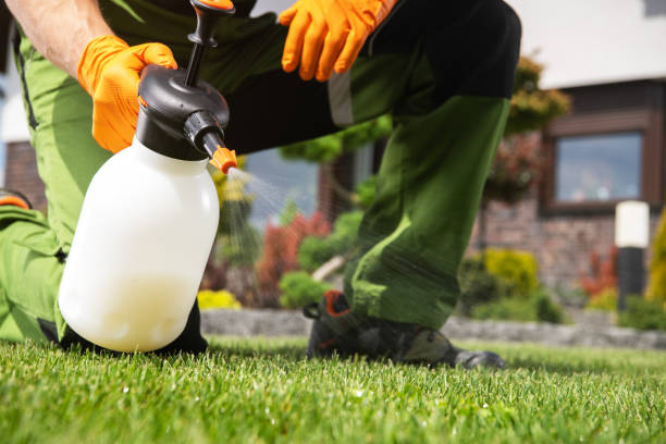 Best Local Pest Control Services  in Perry Heights, OH
